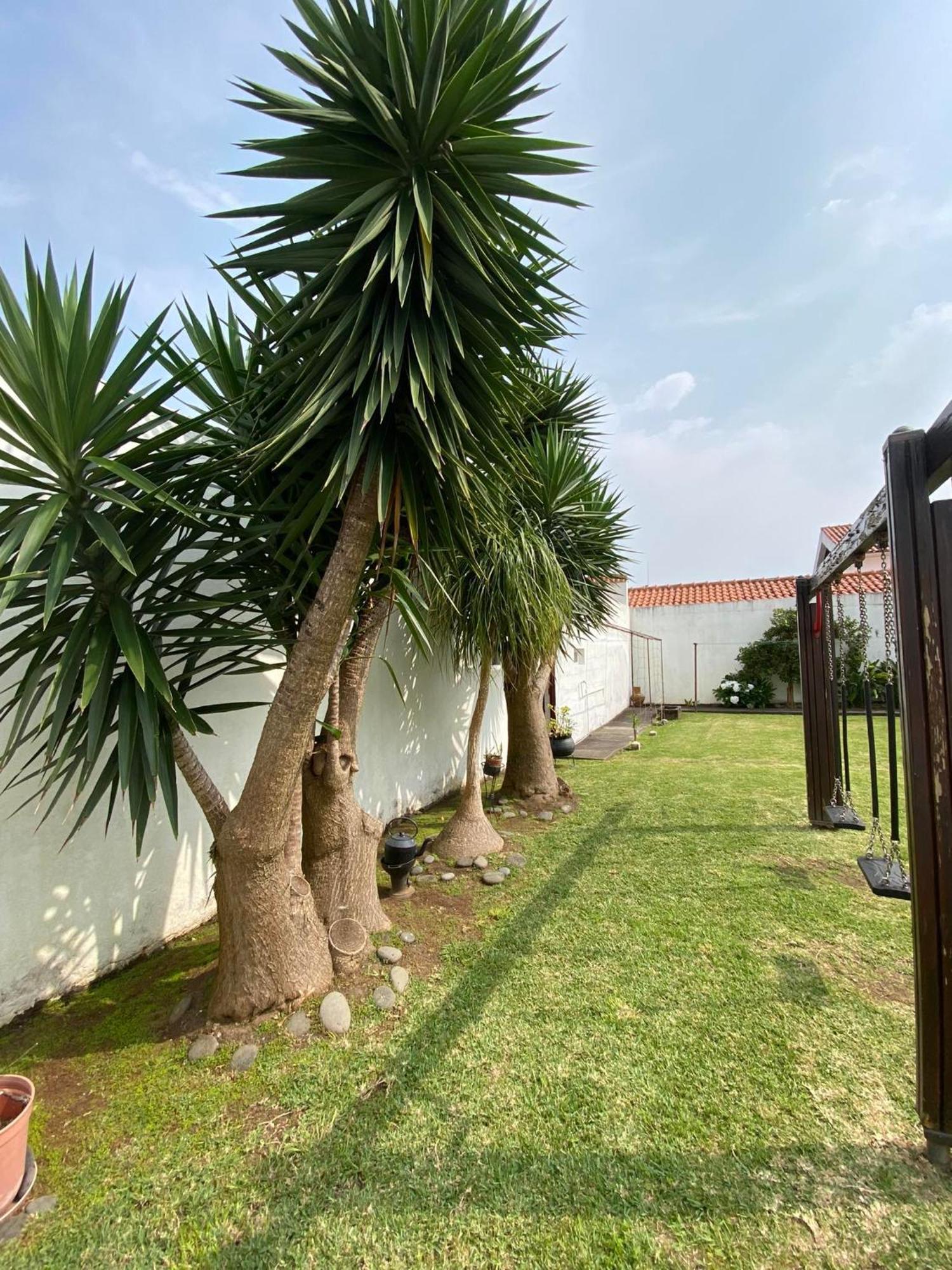 Apartamentos Sao Joao Horta  Exterior foto